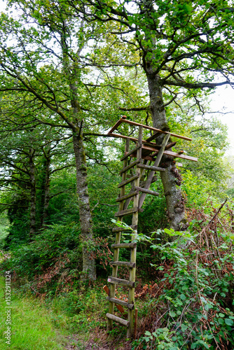 Old wooden hunting stand in woodland