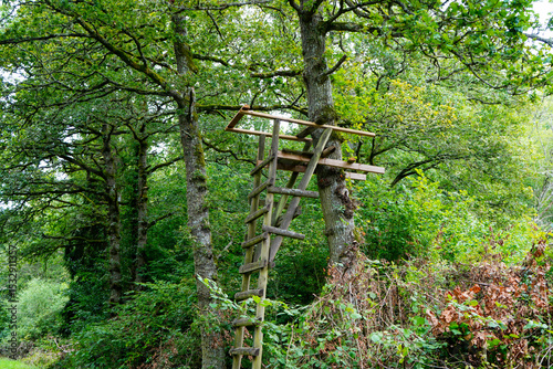 Old wooden hunting stand in woodland
