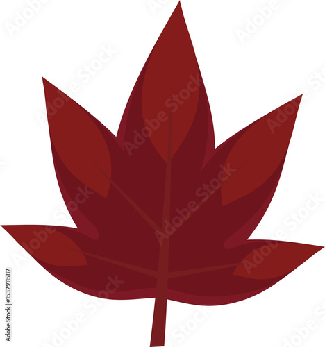 Stylized deep red leaf is being shown on transparent background, flat design with vein details