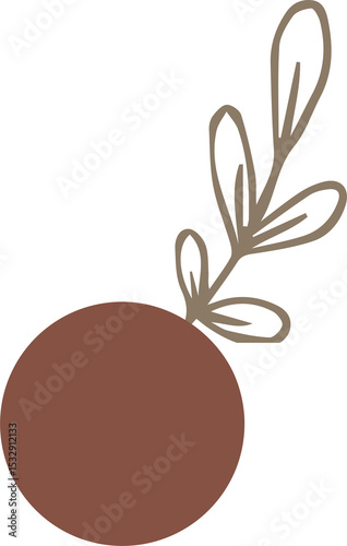 Flat design is showing brown circle floating on transparent background with beige botanical branch