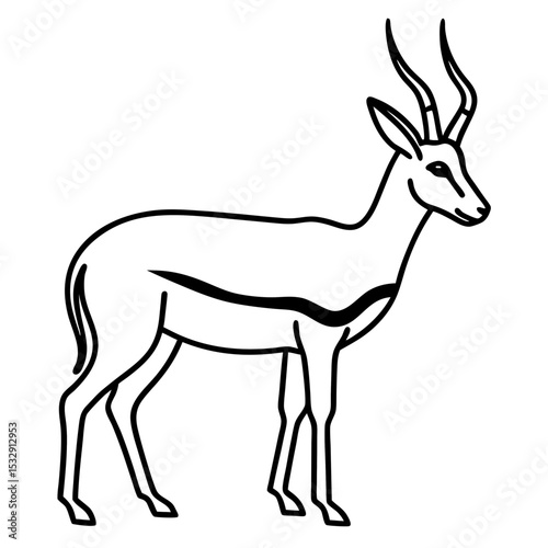 Springbok Outline Vector in Clean Minimal Style