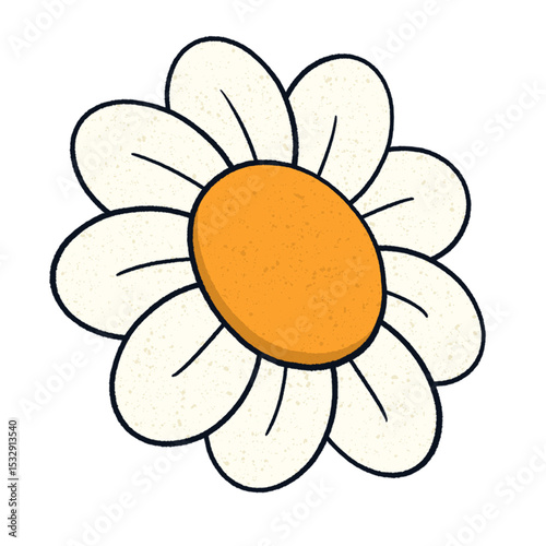 Flat stylized daisy is floating on transparent background, showing white petals and orange center