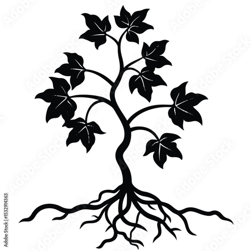 creeper plant growing naturally