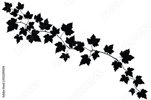 ivy leaves foliage trail design