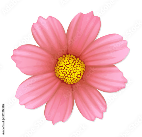 Flat pink flower is floating on transparent background, showing yellow center and eight petals