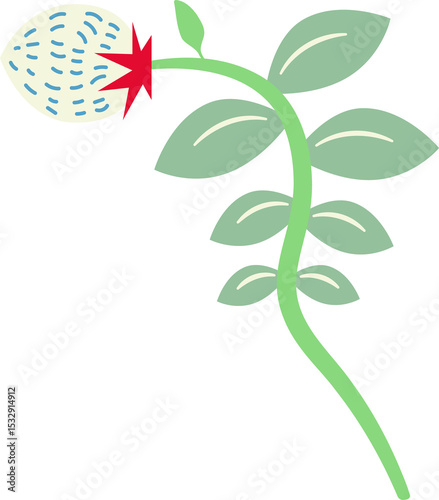 Displaying vector vine with eight green leaves, cream bud, red starburst on transparent background