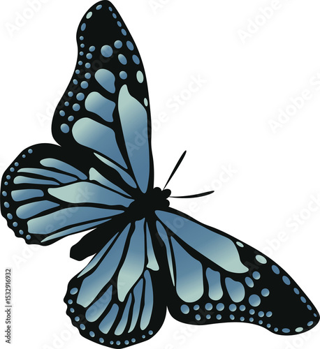 Flat design butterfly showing blue wing spots, black outlines on transparent background, copy space