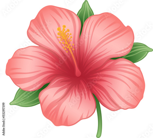 Flat vector hibiscus is floating on transparent background showing pink petals and yellow stamen