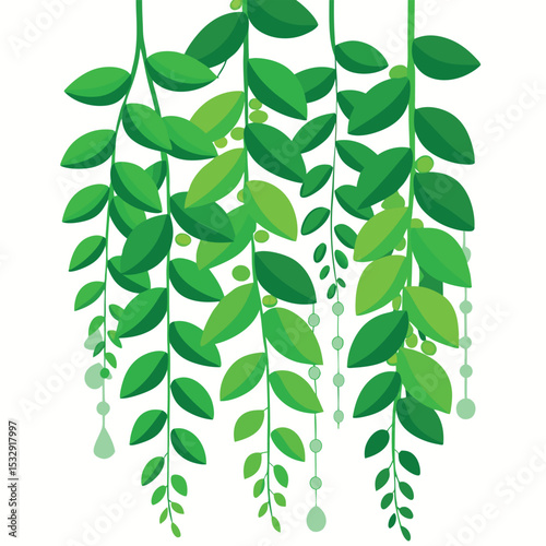lush hanging ivy bush foliage