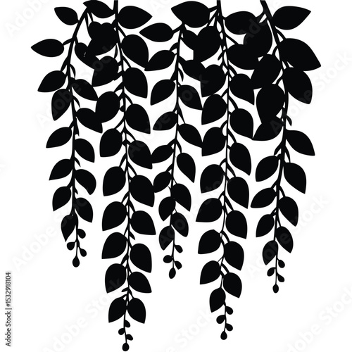green climbing vines and succulent leaves