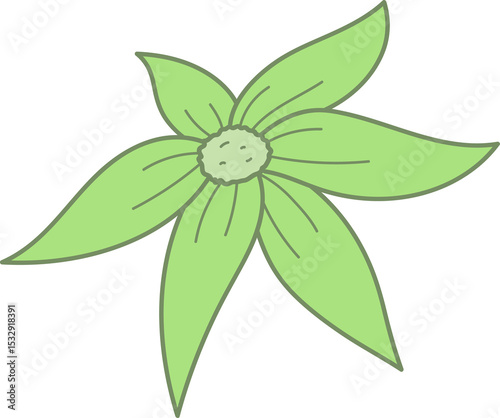 Stylized five-petal green flower is radiating in flat style showing veins on transparent background