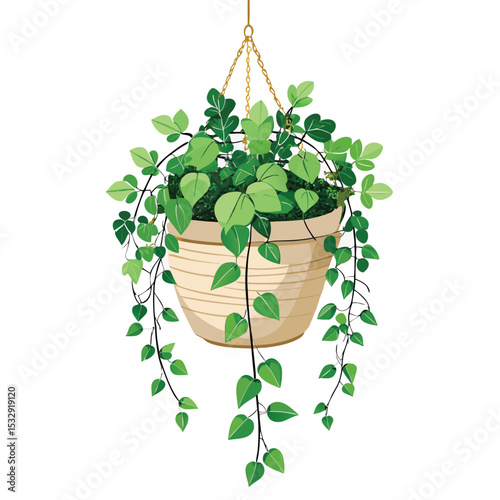 indoor creeping fig foliage