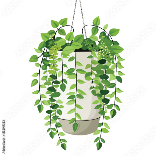 creeping fig houseplant decor idea