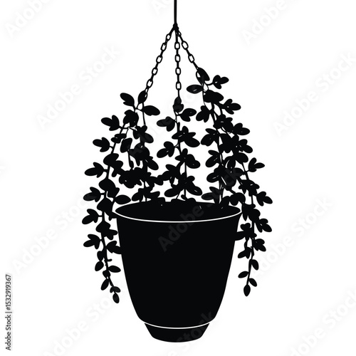 ivy fig plant minimalist decor