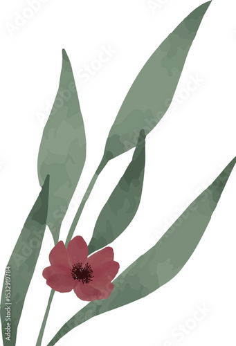 Plant branch is showing green leaves, red flower in flat style, transparent background, copy space