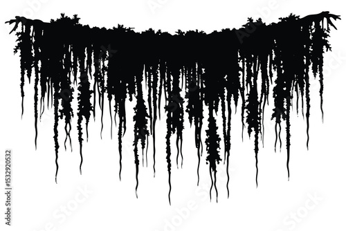 hanging spanish moss nature display