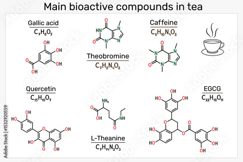 Main bioactive compounds in tea. Molecules of caffeine, theanine, EGCG, quercetin, theobromine and gallic acid