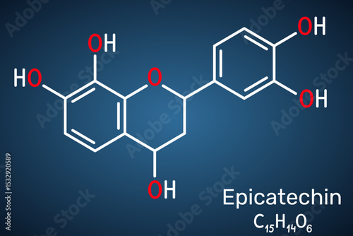 Epicatechin molecule. Flavanol antioxidant found in chocolate and tea. Dark blue background.