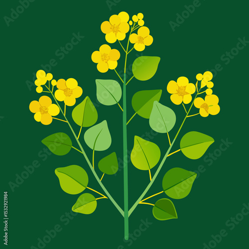 Stylized Illustration of Mustard Plant with Yellow Flowers and Green Leaves
