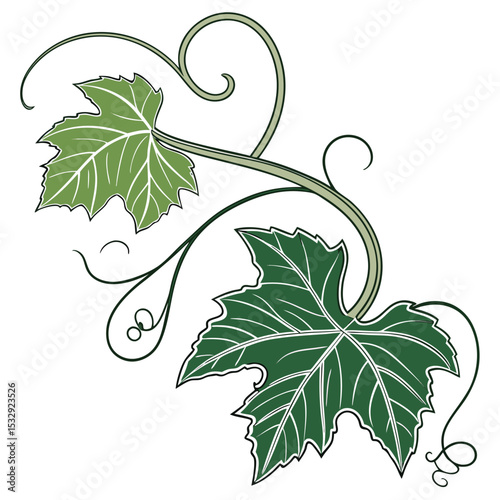 realistic leaf vine botanical cutout