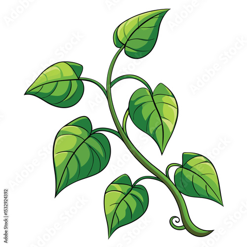 minimal leaf vine white background