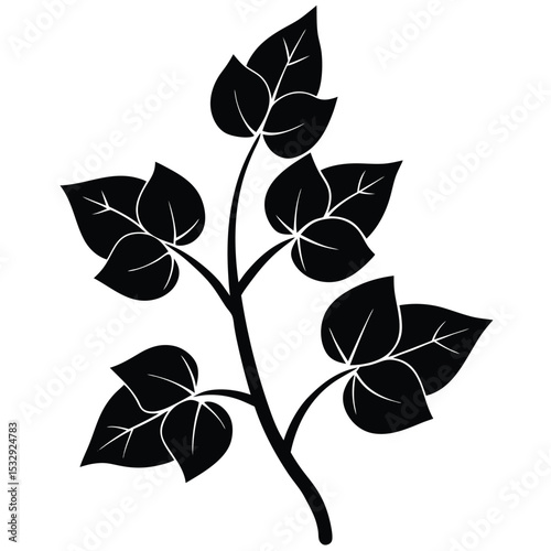 isolated botanical vine and leaf