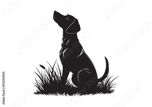 Black cat silhouette illustration, an isolated cute feline pet vector drawing on a white background