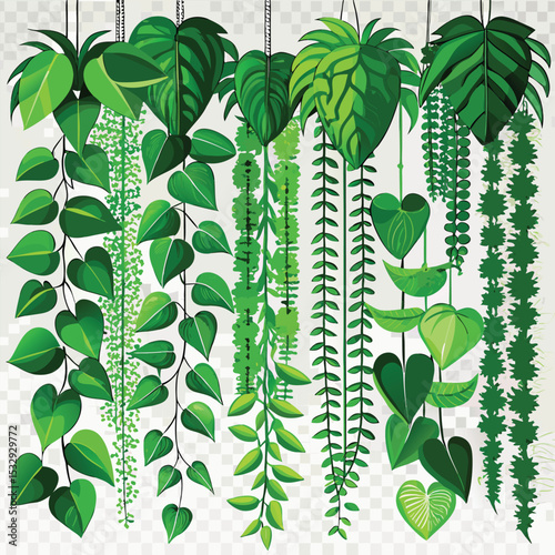 lush greenery cascading foliage