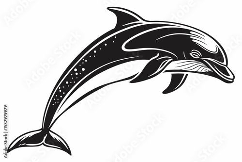dolphin sihouette black vector