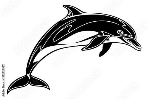 dolphin sihouette black vector