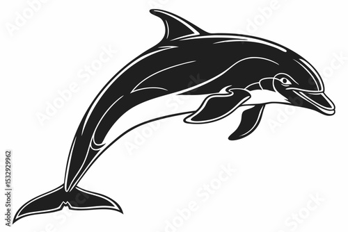 dolphin sihouette black vector