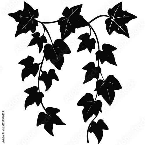green grapevine leaf plant set