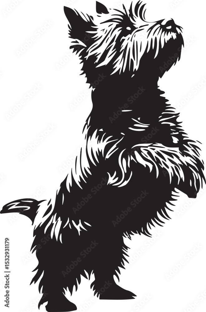 custom made wallpaper toronto digitalcairn terrier dog vector illustration