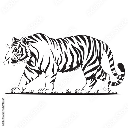 Black and white illustration of a walking tiger