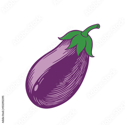 Engraved Eggplant Vintage Vector Artwork