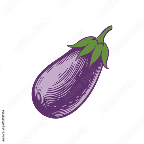 Engraved Eggplant Vintage Vector Illustration