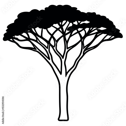 Black Line Drawing African Savanna Acacia Tree savanna tree