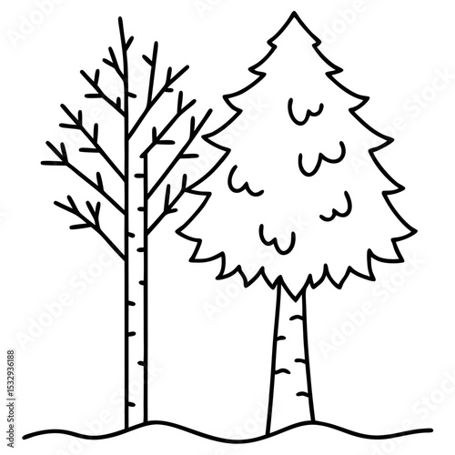Black Outline Birch Tree and Evergreen Forest Edge