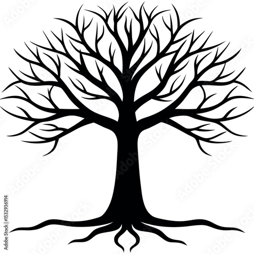 Black Silhouette Beech Tree Spreading Crown Roots tree silhouette
