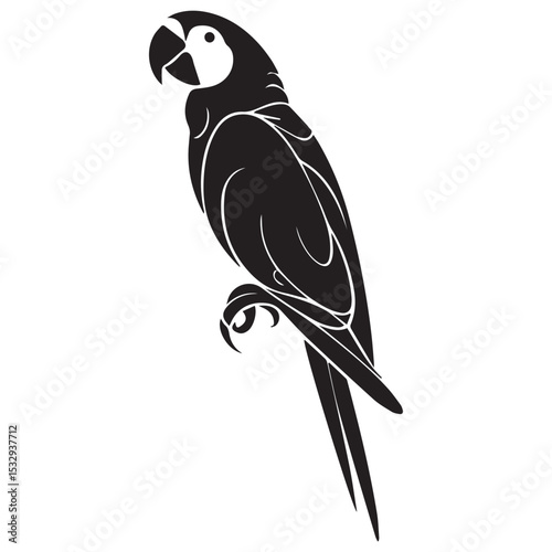 Black silhouette of a macaw parrot perched