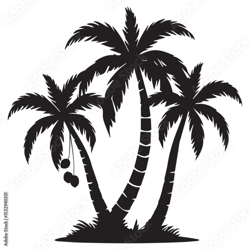 Silhouette of three palm trees with coconuts