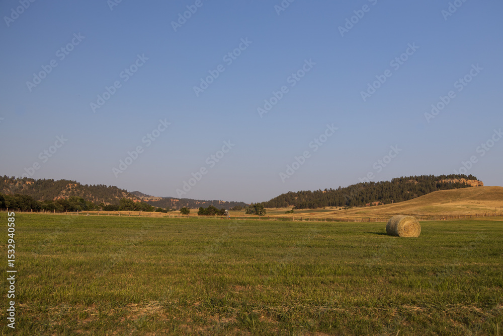 Fototapeta premium Farmland with roll of hay