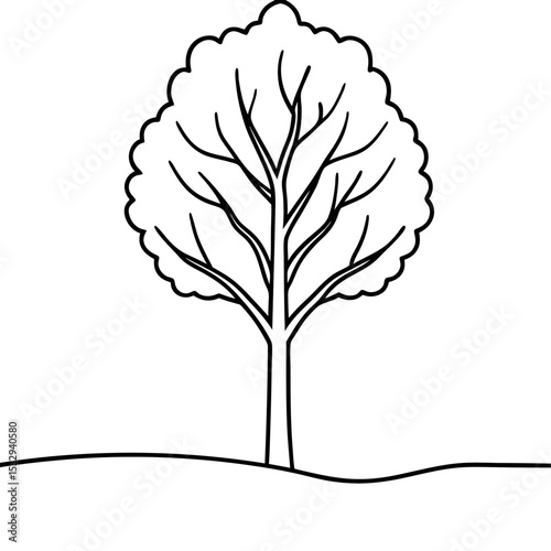 Minimalist Black Line Drawing Single Beech Tree single tree