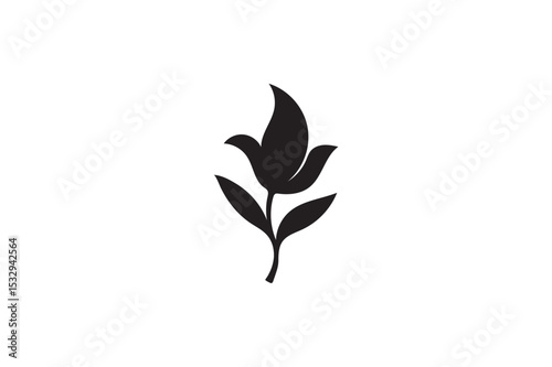 Palash silhouette on white background.01