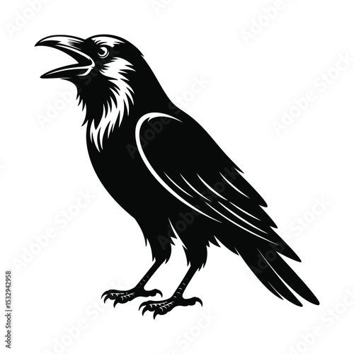 Screaming crow bird vector illustration

