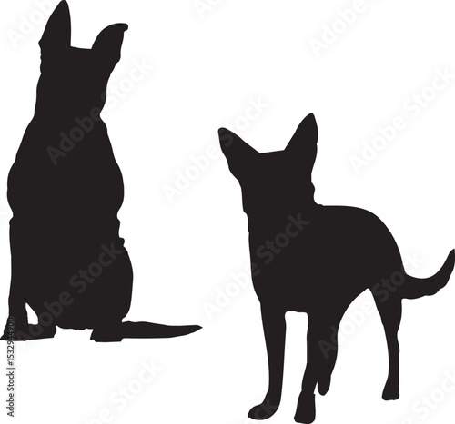 silhouette of a dog, black silhouette of a dog, dog silhouette vector, cat, animal, dog, silhouette, vector, pet, illustration, black, mammal, feline, tail, wild, icon, domestic, cartoon, silhouettes,