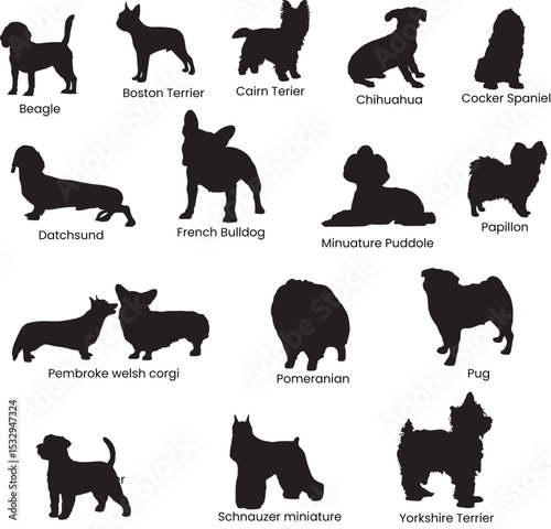 Small dog breed silhouette vector editable changeable 