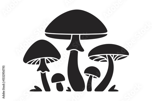 Mushroom Silhouette: A collection of diverse mushrooms forms a bold silhouette, a harmonious interplay of shapes and forms, captured in striking black and white.