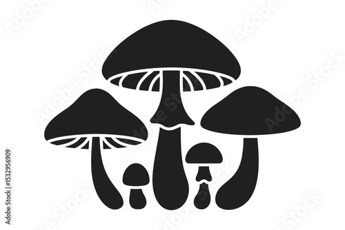 Enigmatic Mushroom Silhouette: A striking monochrome image of a cluster of five mushrooms, presented in silhouette. Each mushroom displays its unique form.