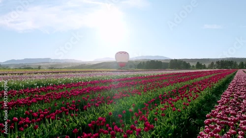 Globo aerostático en Tulipanes Patagonia en Trevelin Chubut